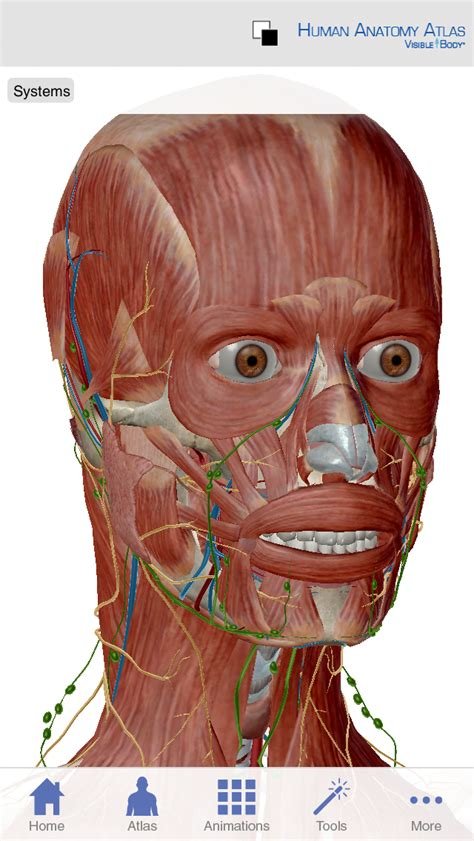 Anatomy 3D Atlas Download